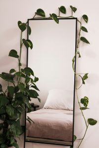 Mirror reflecting bed