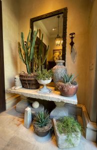 Hall mirror with plants
